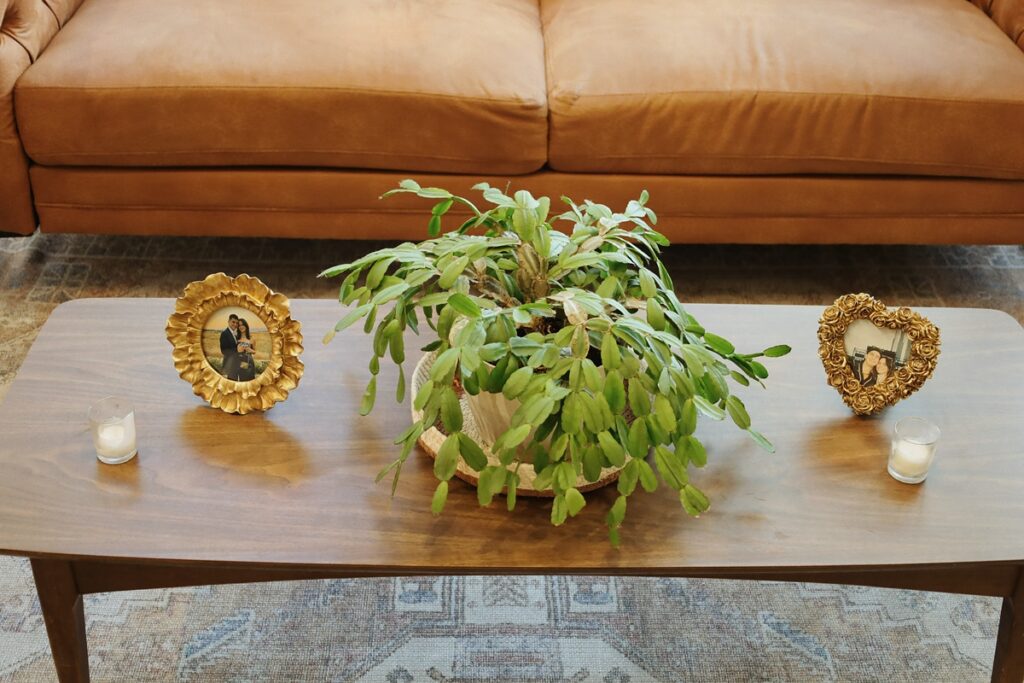 wicker park rehearsal dinner