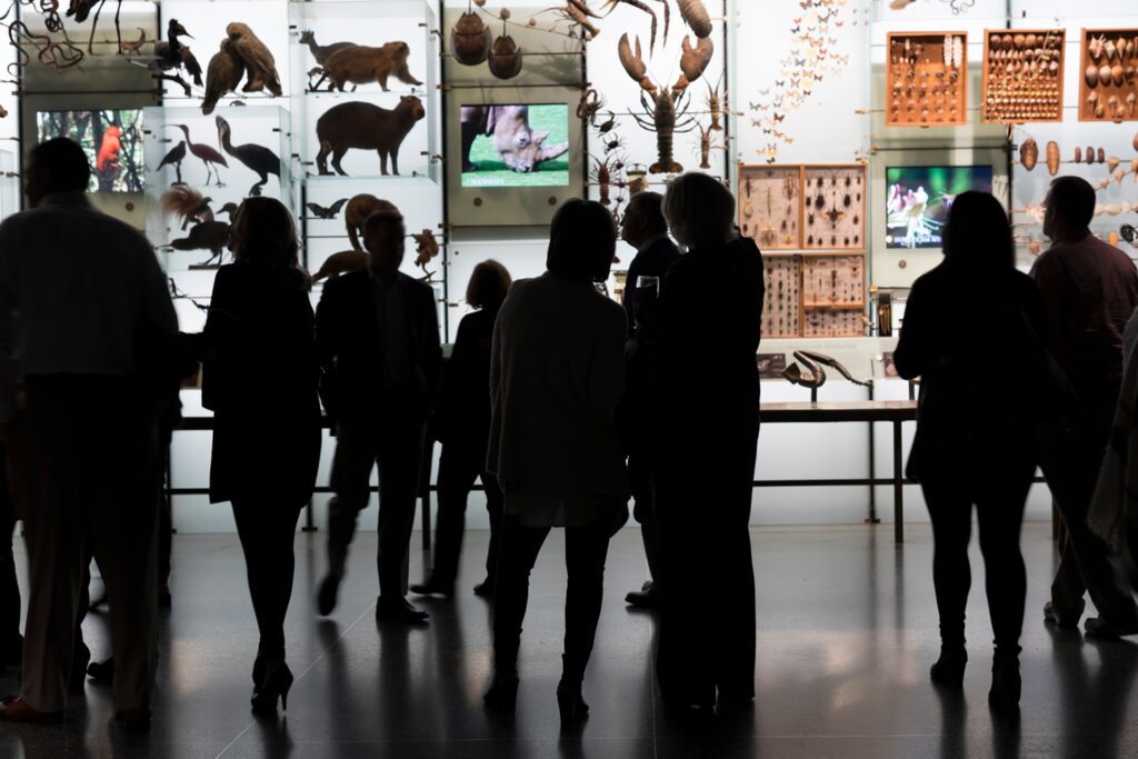 people gathered at a corporate event